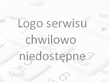 podgld strony internetowej - miniaturka - logo